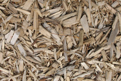 biomass boilers Rangeworthy