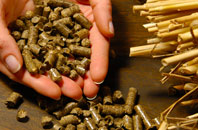 free Rangeworthy biomass boiler quotes